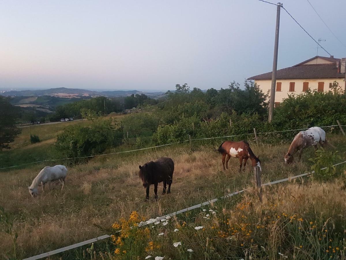 Agriturismo Piccola Raieda Villa Sasso Marconi Buitenkant foto