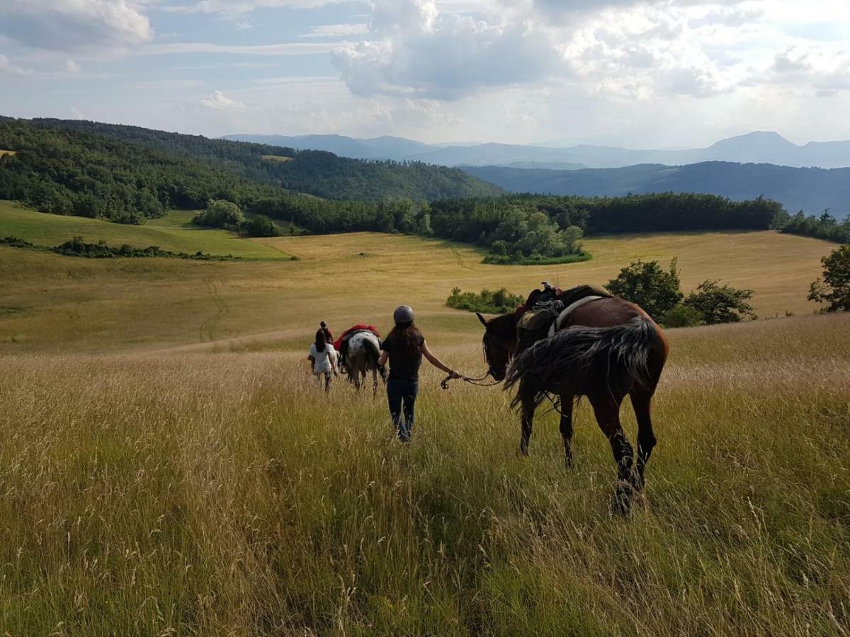 Agriturismo Piccola Raieda Villa Sasso Marconi Buitenkant foto