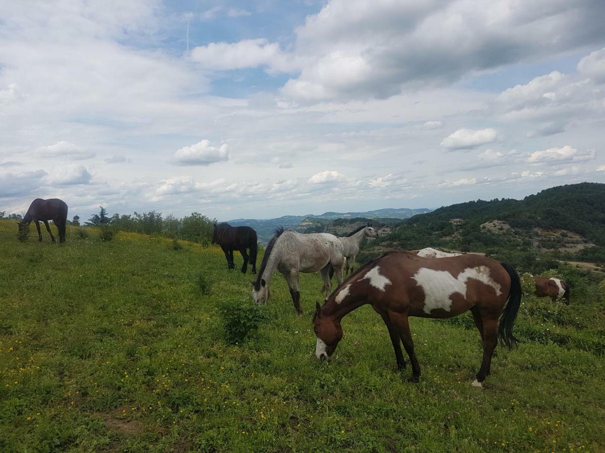 Agriturismo Piccola Raieda Villa Sasso Marconi Buitenkant foto