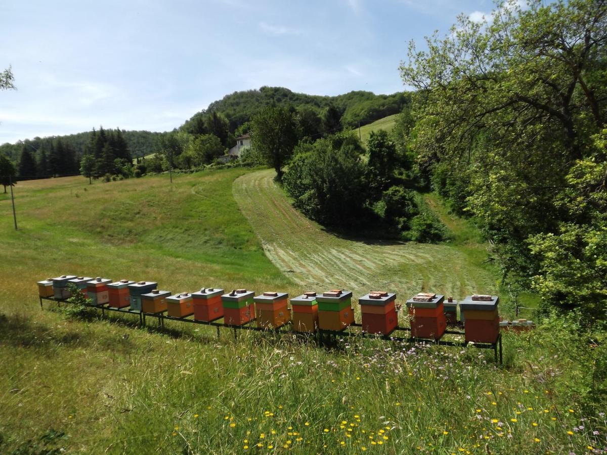 Agriturismo Piccola Raieda Villa Sasso Marconi Buitenkant foto